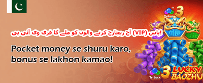 وی آئی پی ریوارڈز promotion